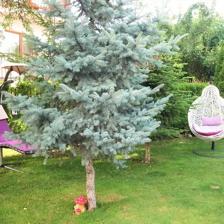 Fantasy Saint Constantine And Helena Apartment Saints Constantine and Helena