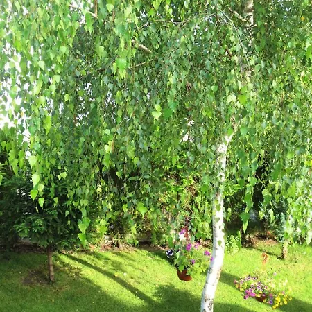 Fantasy Saint Constantine And Helena Apartment *