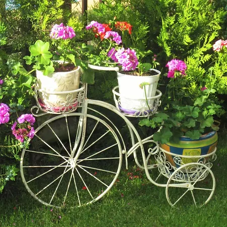 Fantasy Saint Constantine And Helena Apartamento Saints Constantine and Helena