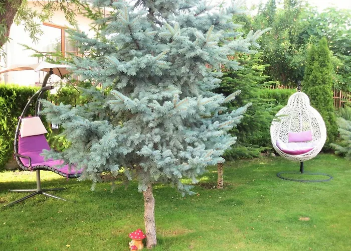 Fantasy Saint Constantine And Helena Apartament Sweti Konstantin i Sweta Elena