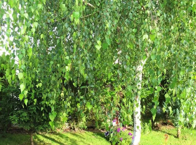 Fantasy Saint Constantine And Helena Apartment *