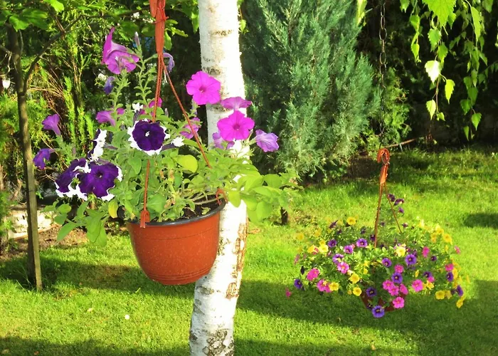 Apartament Fantasy Saint Constantine And Helena Sweti Konstantin i Sweta Elena